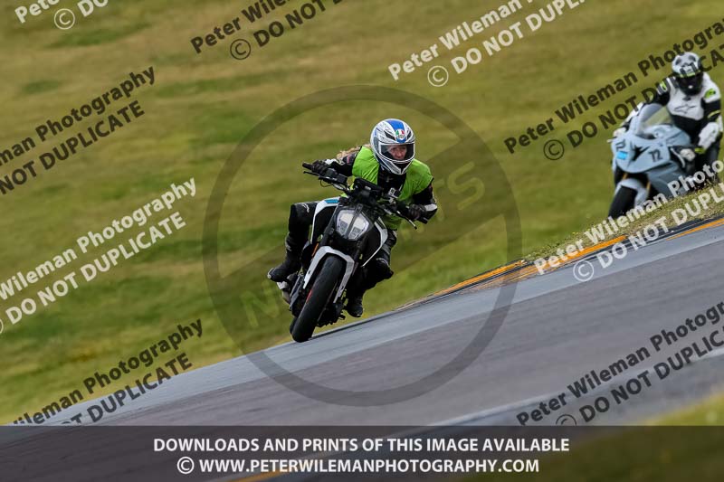 PJ Motorsport 2019;anglesey no limits trackday;anglesey photographs;anglesey trackday photographs;enduro digital images;event digital images;eventdigitalimages;no limits trackdays;peter wileman photography;racing digital images;trac mon;trackday digital images;trackday photos;ty croes